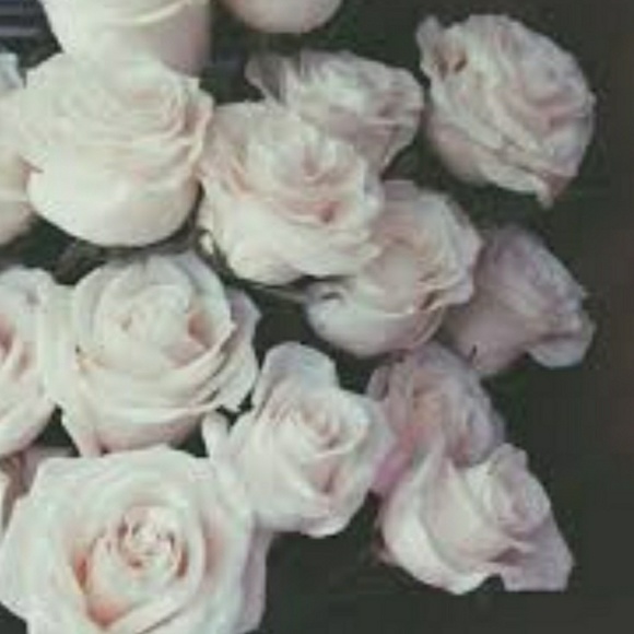 bri_1230678__
